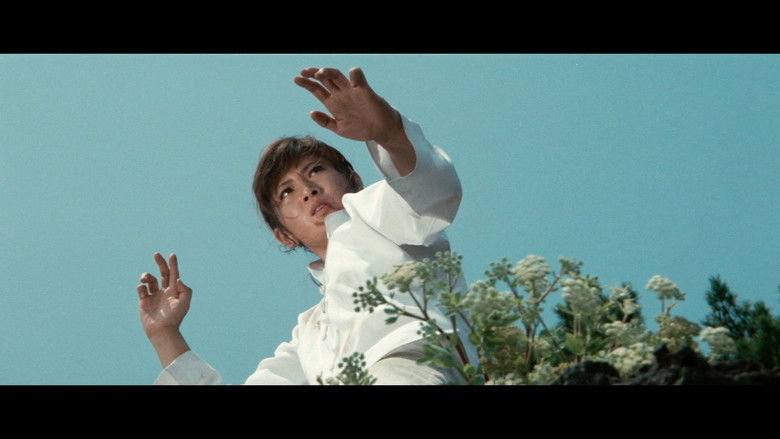 女必杀拳 photo