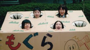 琳达！琳达！琳达！ photo