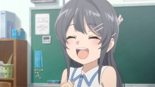 青春猪头少年不会梦到红书包女孩 photo