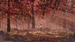 雄狮少年 photo