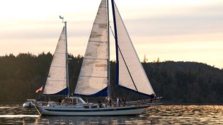Sailing Into Love photo