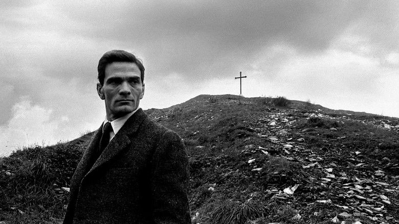 The Treasure of His Youth: The Photographs of Paolo Di Paolo photo