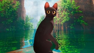 猫猫的奇幻漂流 photo