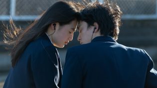 First Love 初恋 photo