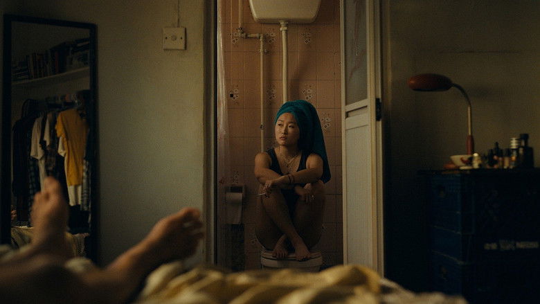 外派人员 photo