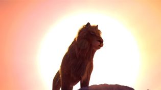 Lion photo