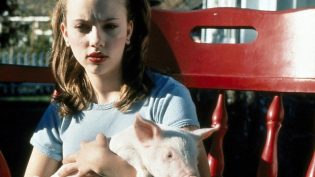 My Brother the Pig photo