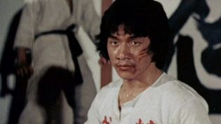 新精武门 photo