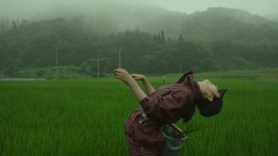 小森林：夏秋篇 photo