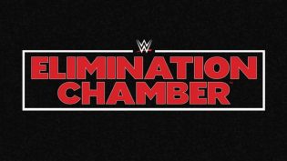 WWE 密室牢笼 2020 photo