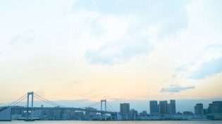 热情花招 photo