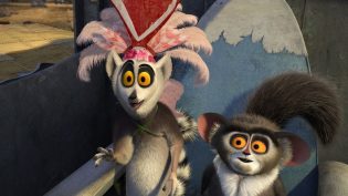 马达加斯加的疯狂情人节 photo