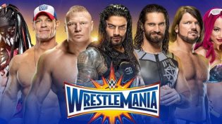 WWE 摔角狂热 33 photo