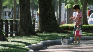 奇迹 photo