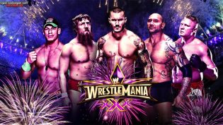 WWE 摔角狂热 30 photo