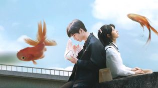 樱桃琥珀 photo