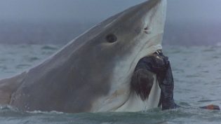Cruel Jaws photo