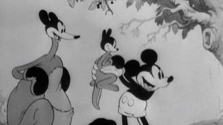 Mickey's Kangaroo photo