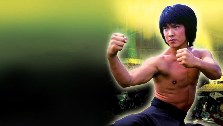 杂家小子 photo