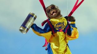 Monkey Up photo