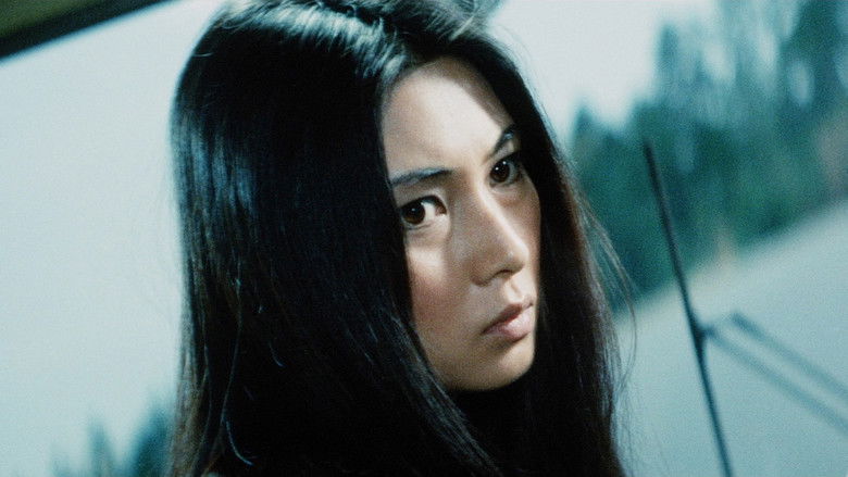 女囚701-II：第41号女囚房 photo