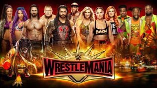 WWE 摔角狂热 35 photo