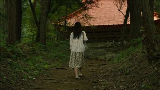 白百合 photo