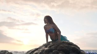 小美人鱼 photo