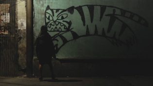无惧之虎 photo