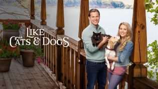 Like Cats & Dogs photo