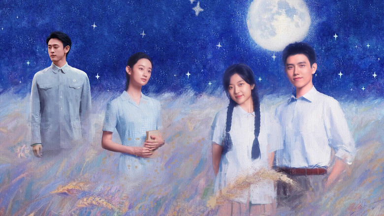 纯真年代的爱情 photo