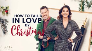 How to Fall in Love by Christmas photo