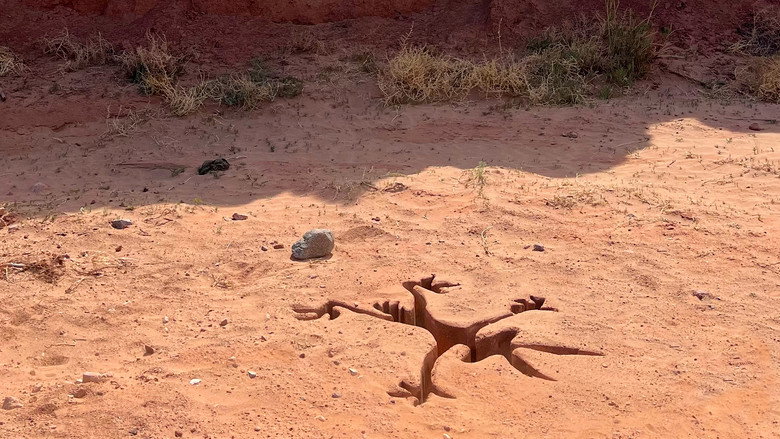 Coyote vs ACME photo