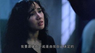侠盗高飞 photo