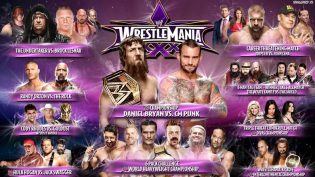 WWE 摔角狂热 30 photo