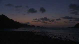 琴子 photo