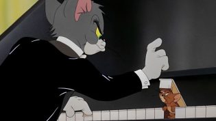 猫儿协奏曲 photo
