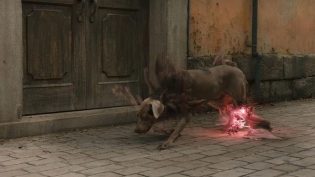 钢之炼金术师完结篇：复仇者斯卡 photo