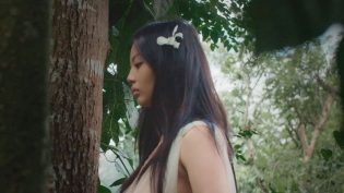 处女森林 photo