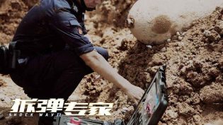 拆弹专家 photo