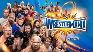 WWE 摔角狂热 33 photo