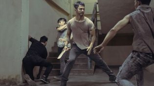 威拉 photo