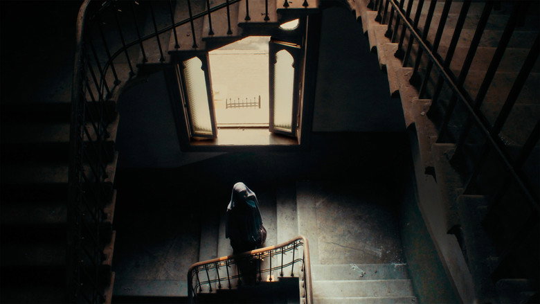 عائشة لا تستطيع الطيران photo