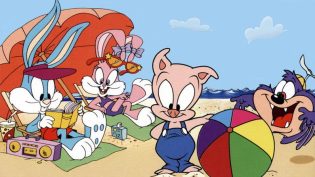 Tiny Toon Adventures photo