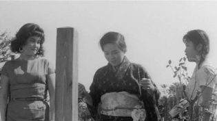 日本昆虫记 photo