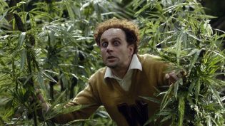 大麻狂热 photo