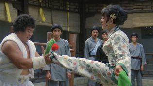 笑拳怪招 photo