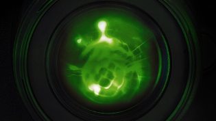 Paranormal Caught on Camera photo