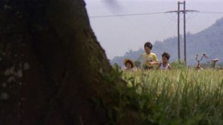 冬冬的假期 photo