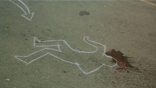 禽兽该死 photo